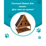 Зачем кошке уличный домик?